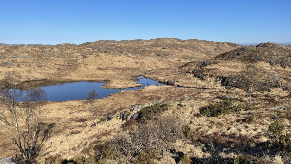 Lenke til artikkel: KUNNGJØRING - Godkjent søknad fra Kjetil S. Søyland om bygging av landbruksvei i utvalgt naturtype på gnr. 34, bnr. 1 Søyland - Sak 28/22 